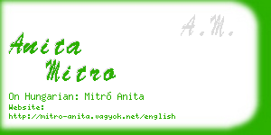 anita mitro business card